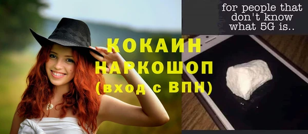 сатива Аркадак
