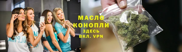 сатива Аркадак