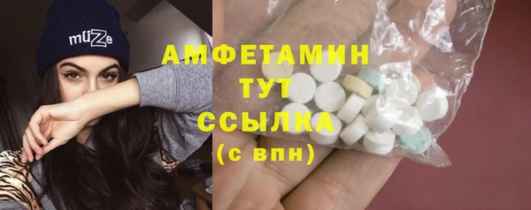 сатива Аркадак