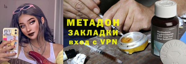 сатива Аркадак